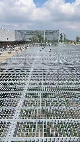 鸽舍钢格板